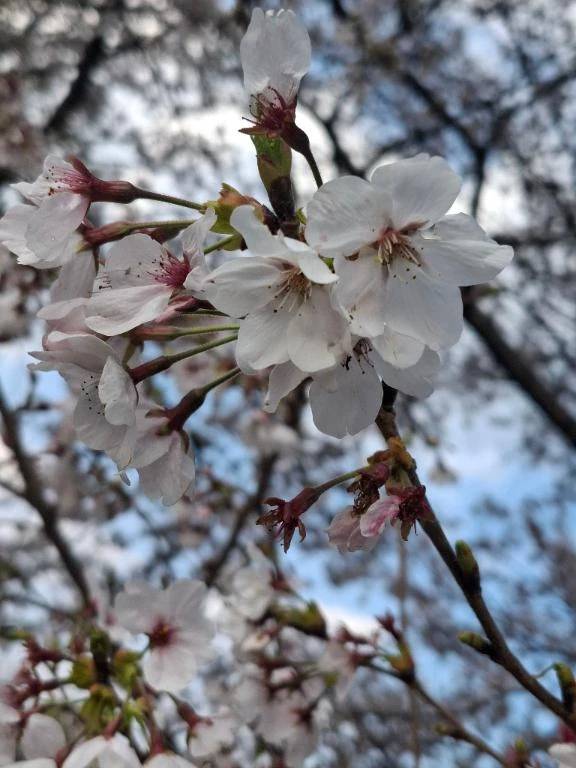 お久しぶりです