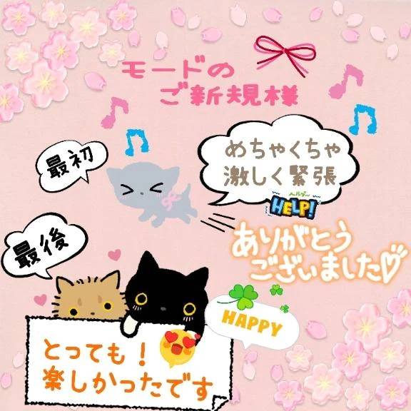 4月8日(水曜日)のお礼🌼