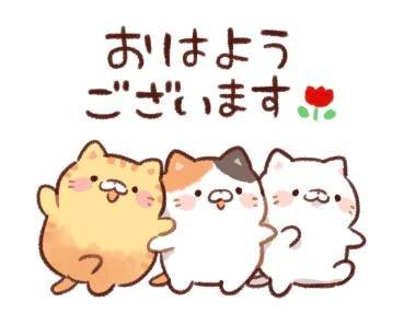 今日も10時-22時まで🖤ᩚ👩🏻‍💻