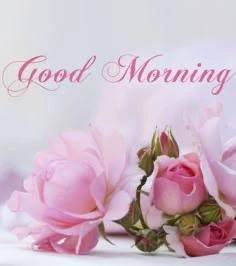 おはようございます♡