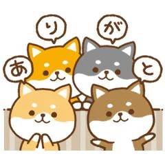 Hさん♡