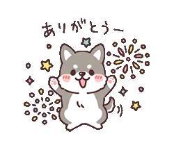 Dさん♡