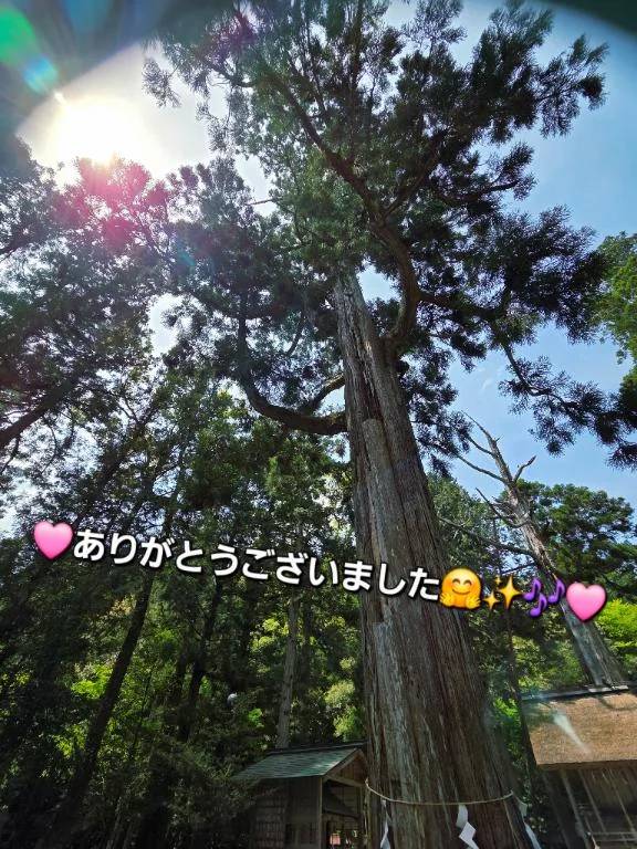 ◎ありがとうございました◎