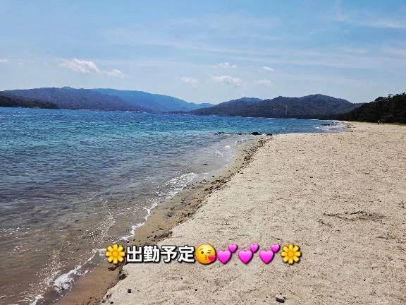 ●5月後半、出勤予定●