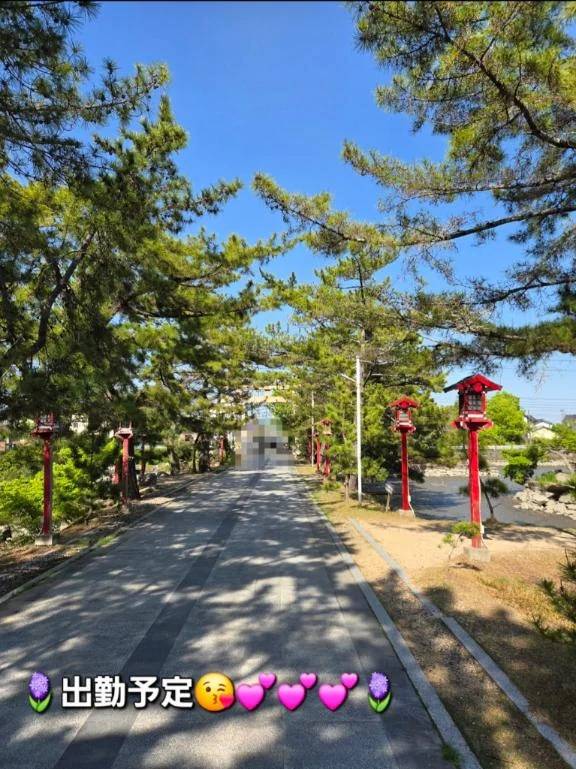 ◆今回の出勤予定◆