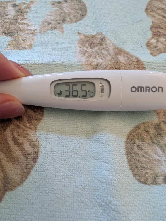 おはようございます😊