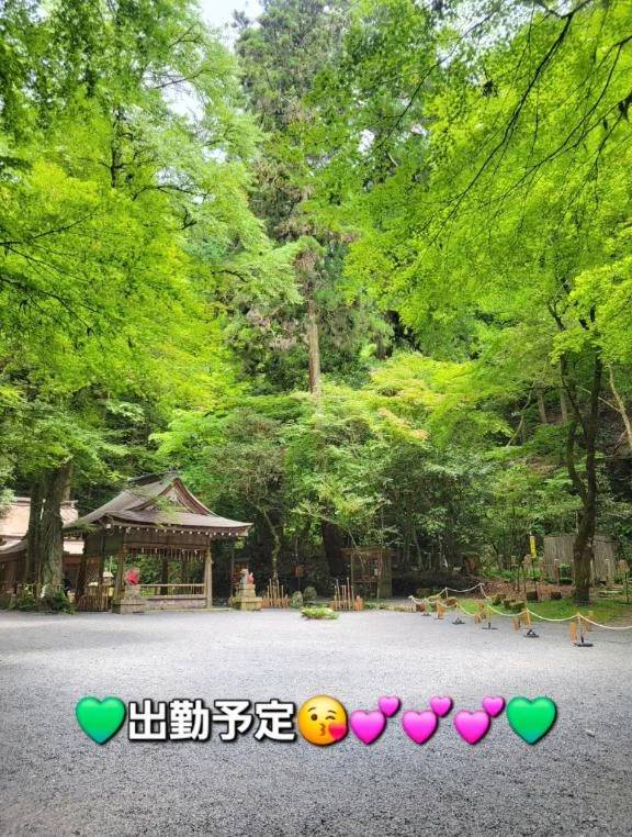 ◆次回、出勤予定◆
