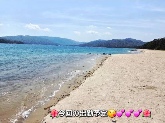 ●今回の出勤予定●