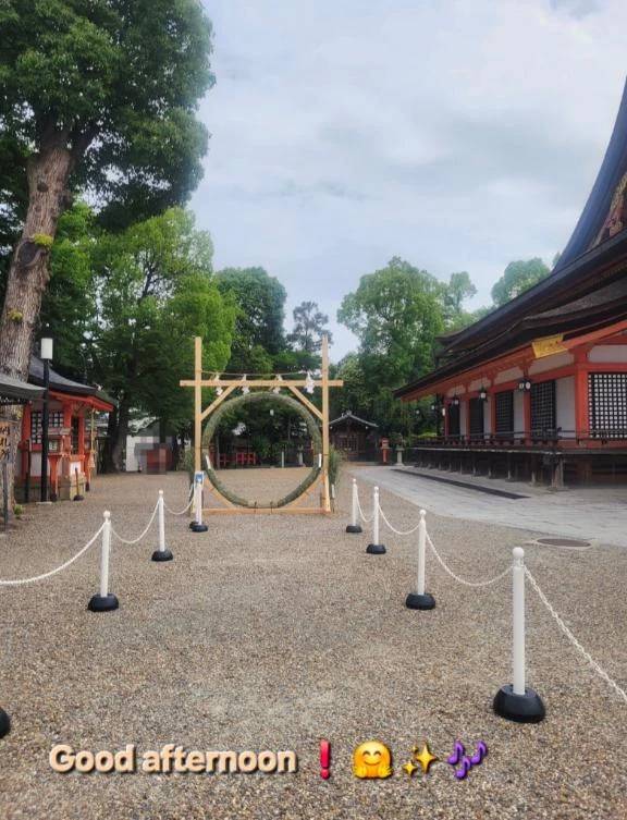 こんにちは♪︎♪︎