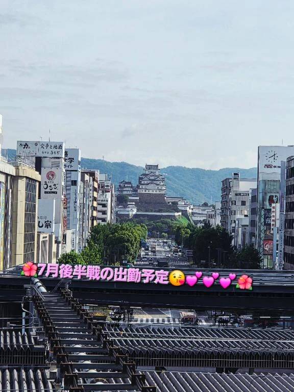 ●出勤予定●