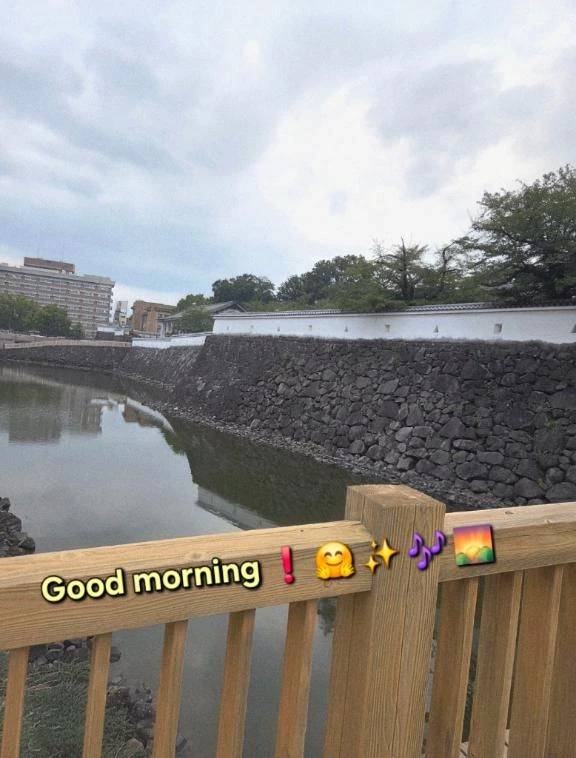 おはようございます♪︎♪︎