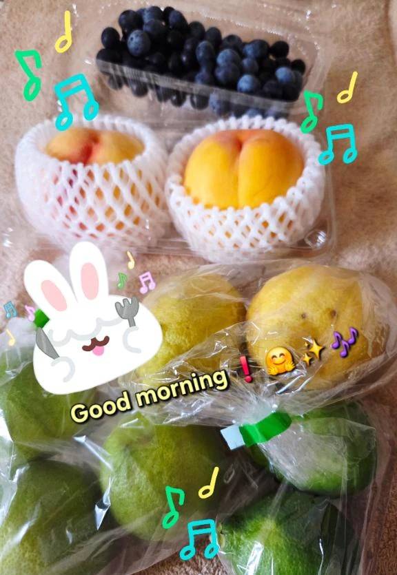 おはようございます♪︎♪︎