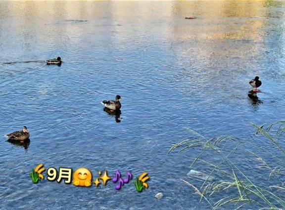 ◎長月◎