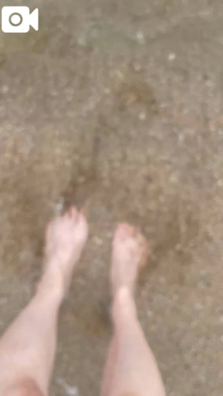 夏の思い出