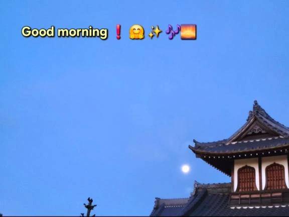 おはようございます♪︎♪︎