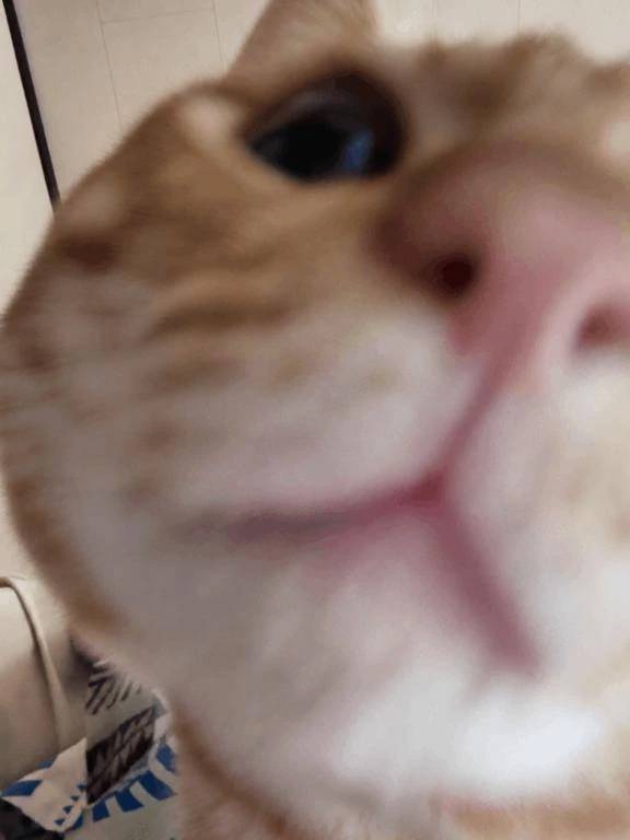 ドアップ🩷🤍🩷🤍