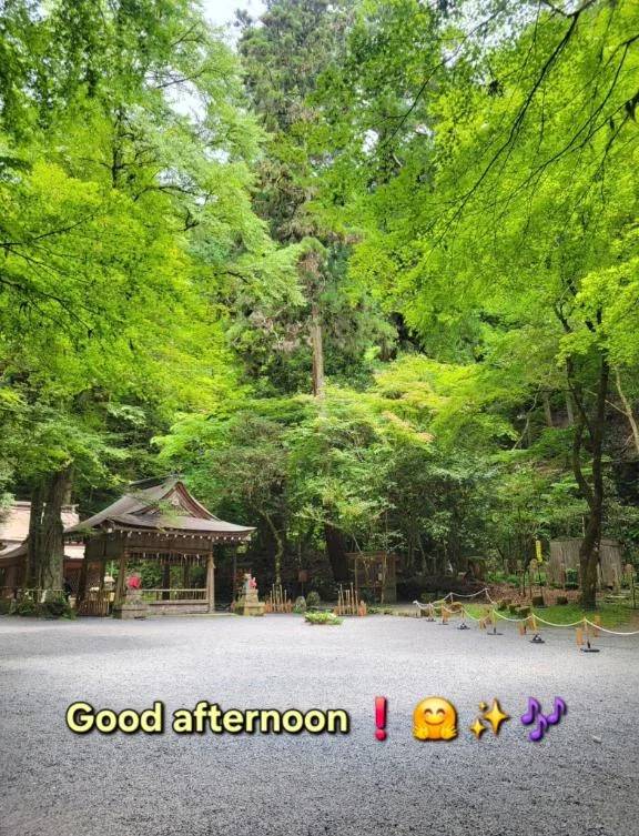 こんにちは♪︎♪︎