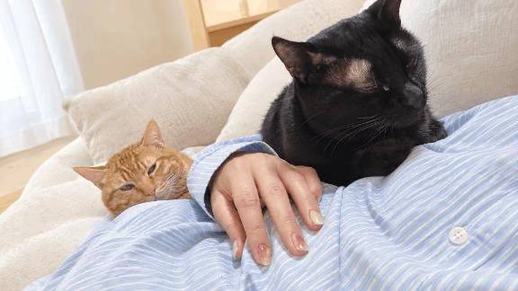 私の子たち🐈🐈‍⬛