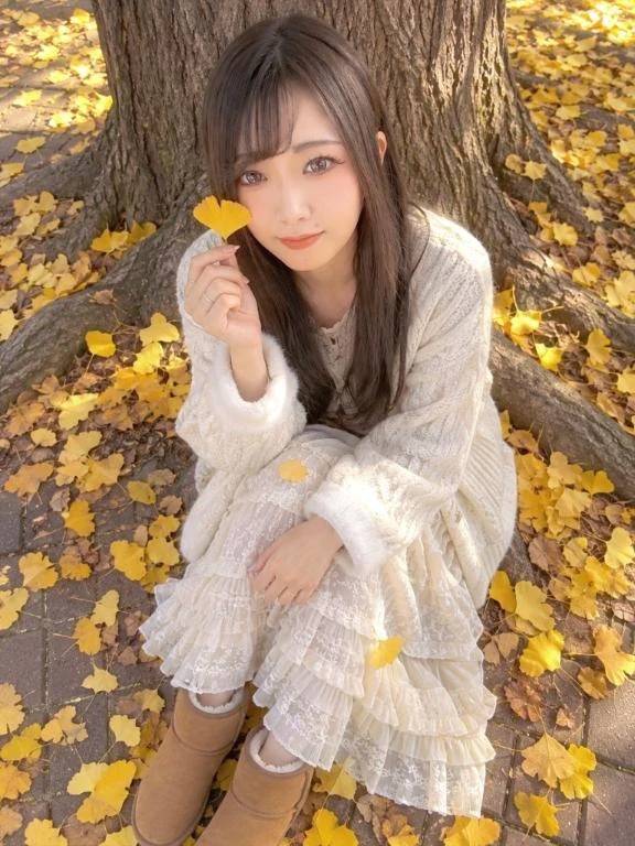 🍁秋🍁