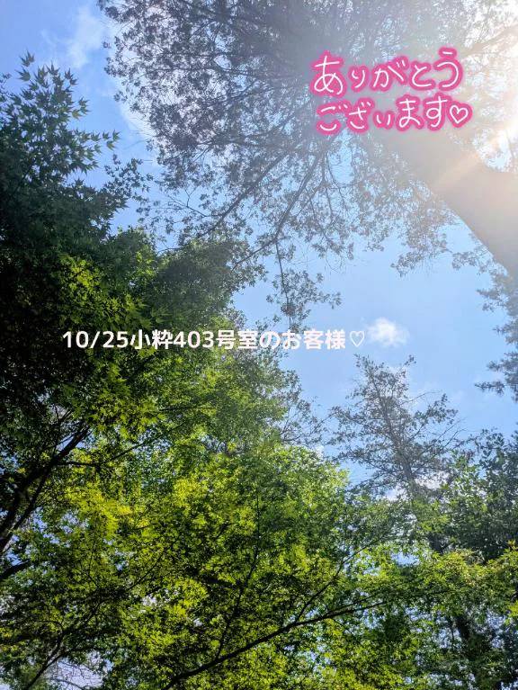 おれい(*´∀｀*)