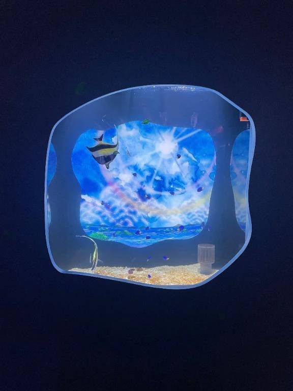 水族館デート🐬