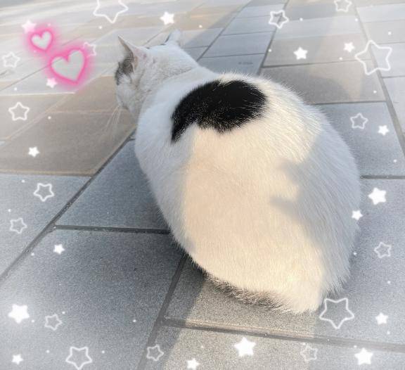 次の投稿はマイガール必須‼️