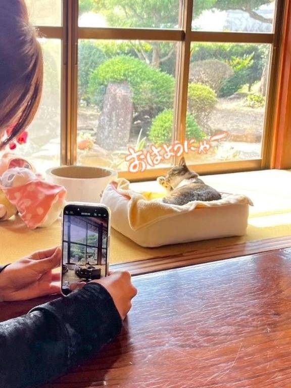 🔅おはようにゃ〜🔅