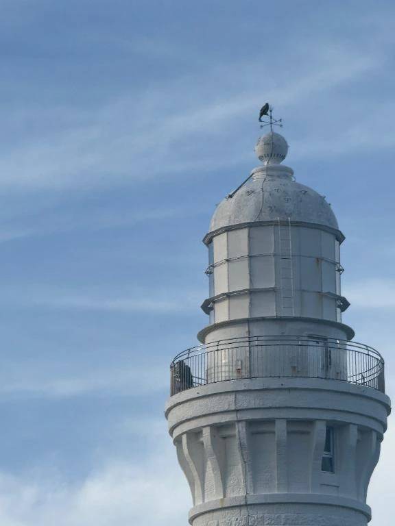 🌺言葉のいらない時間