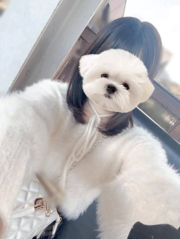 やったあ🎀🎶