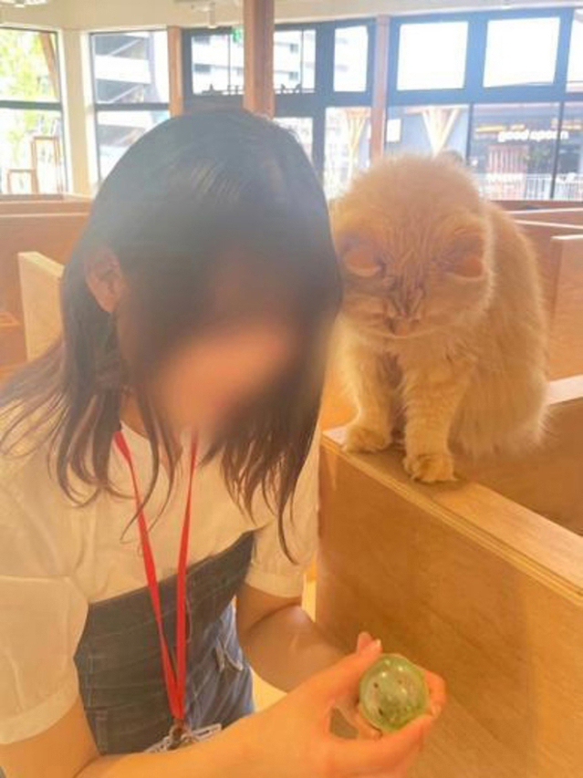 おと 先生（縁結び学園）