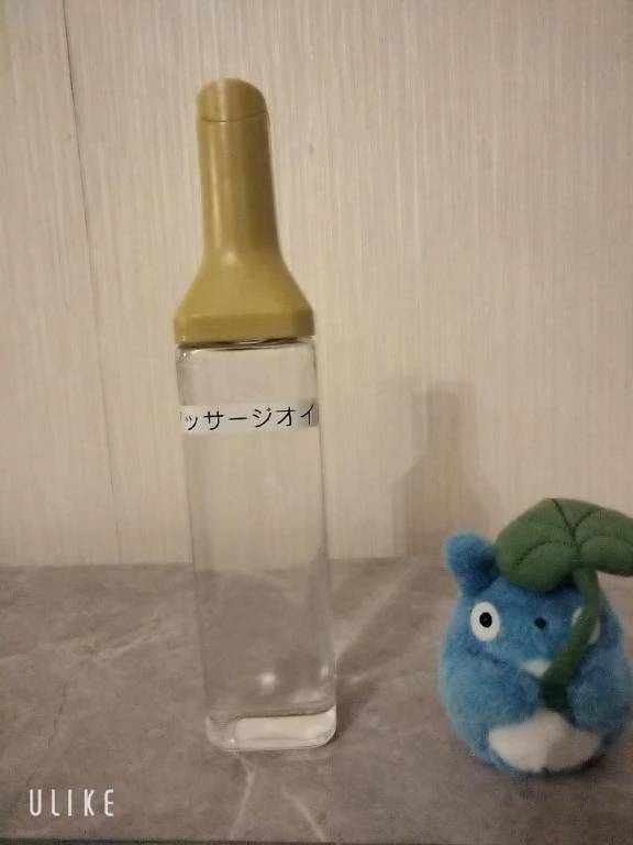 出勤です🐢