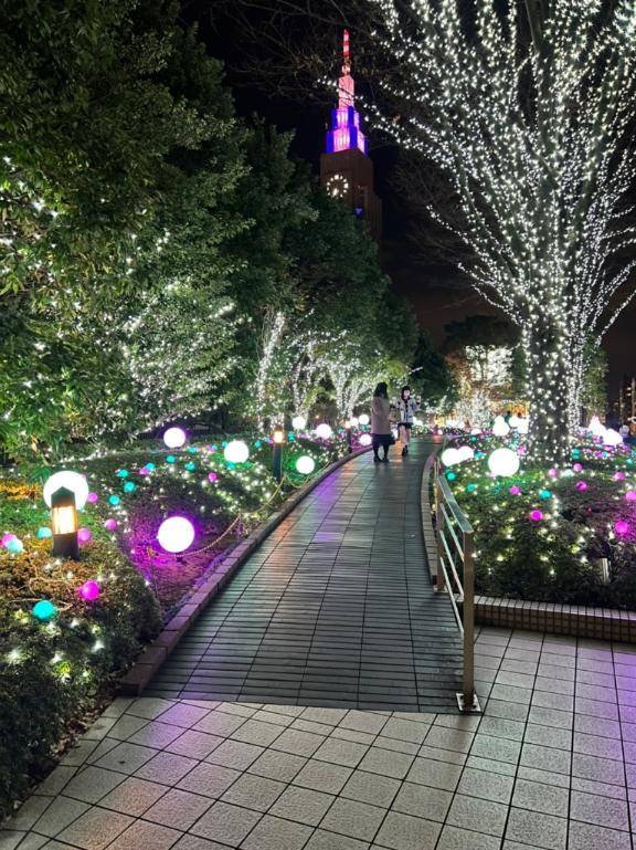 お久しぶりです