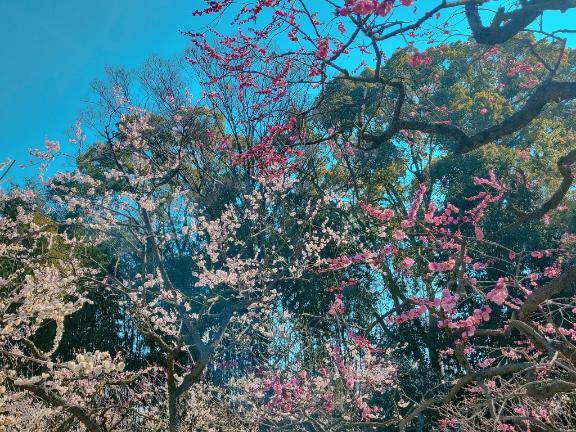 [お題]from:二択だよ♪さん