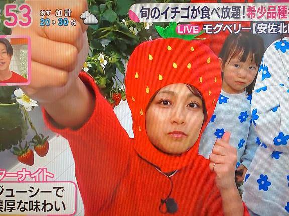 残り枠あと1名様