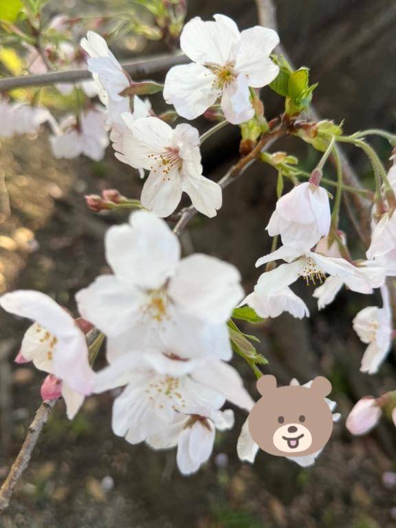 お疲れ様です?*.ﾟ