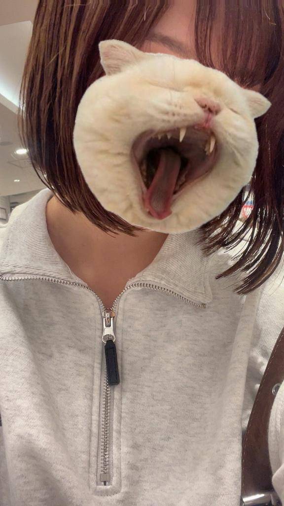 出勤予定??
