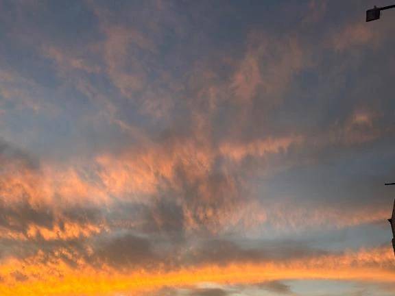 来週の出勤予定とありがとう🤍