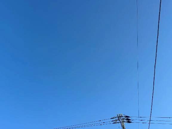 来週の出勤予定📅