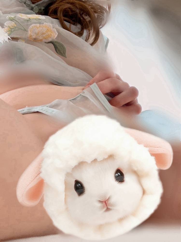 いぶき
