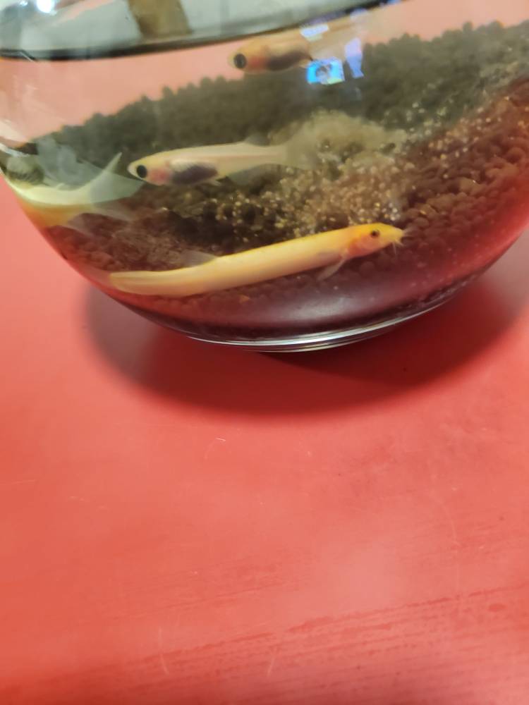 充実でした( 〃▽〃)