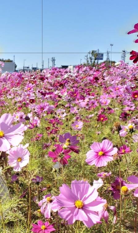 ありがとうございました( ﾟ∀ﾟ)ﾉ