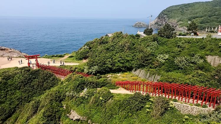 頑張ってくださいね