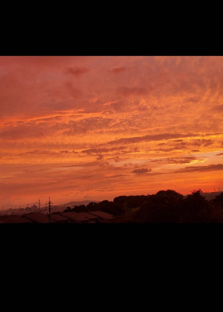 うれしかった❤