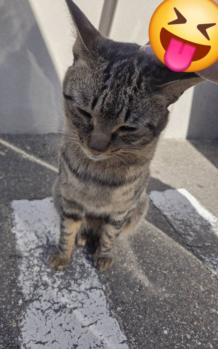 休憩中の出会い😻