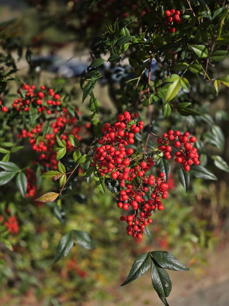 た～ぷり( *´艸)