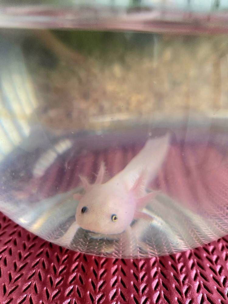 優しさに包まれて