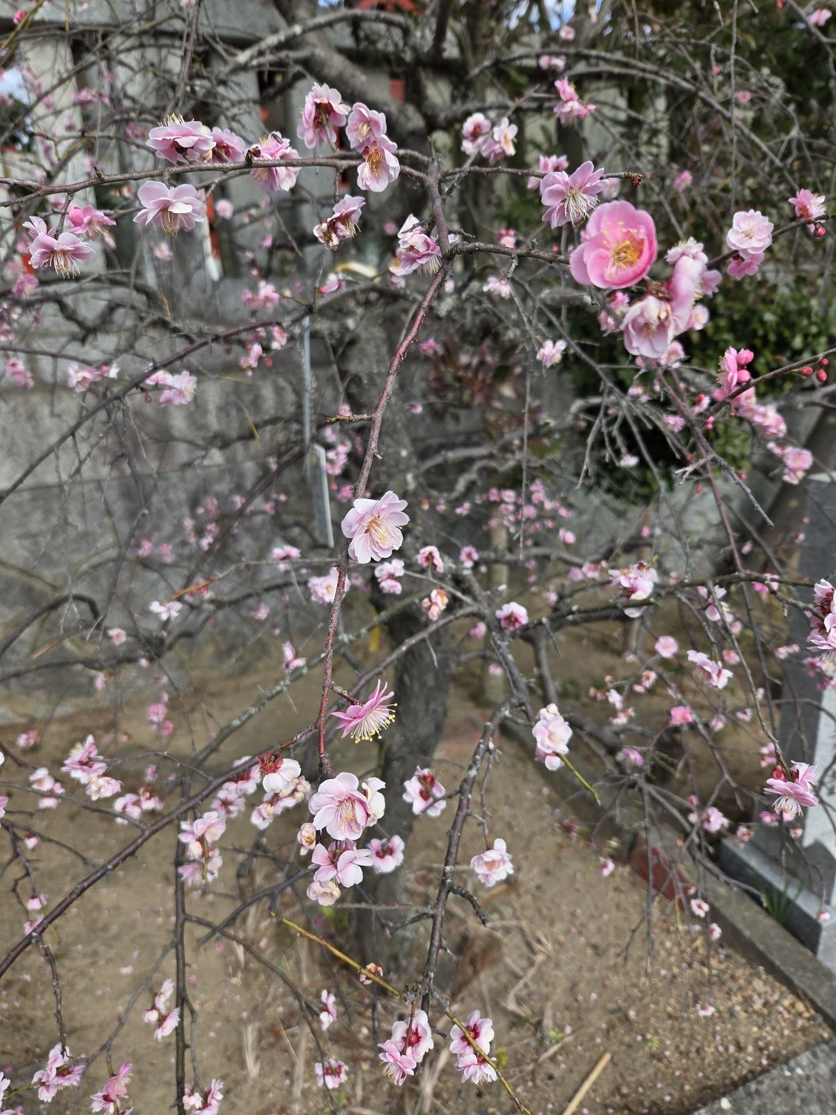 嬉しかったです🍀