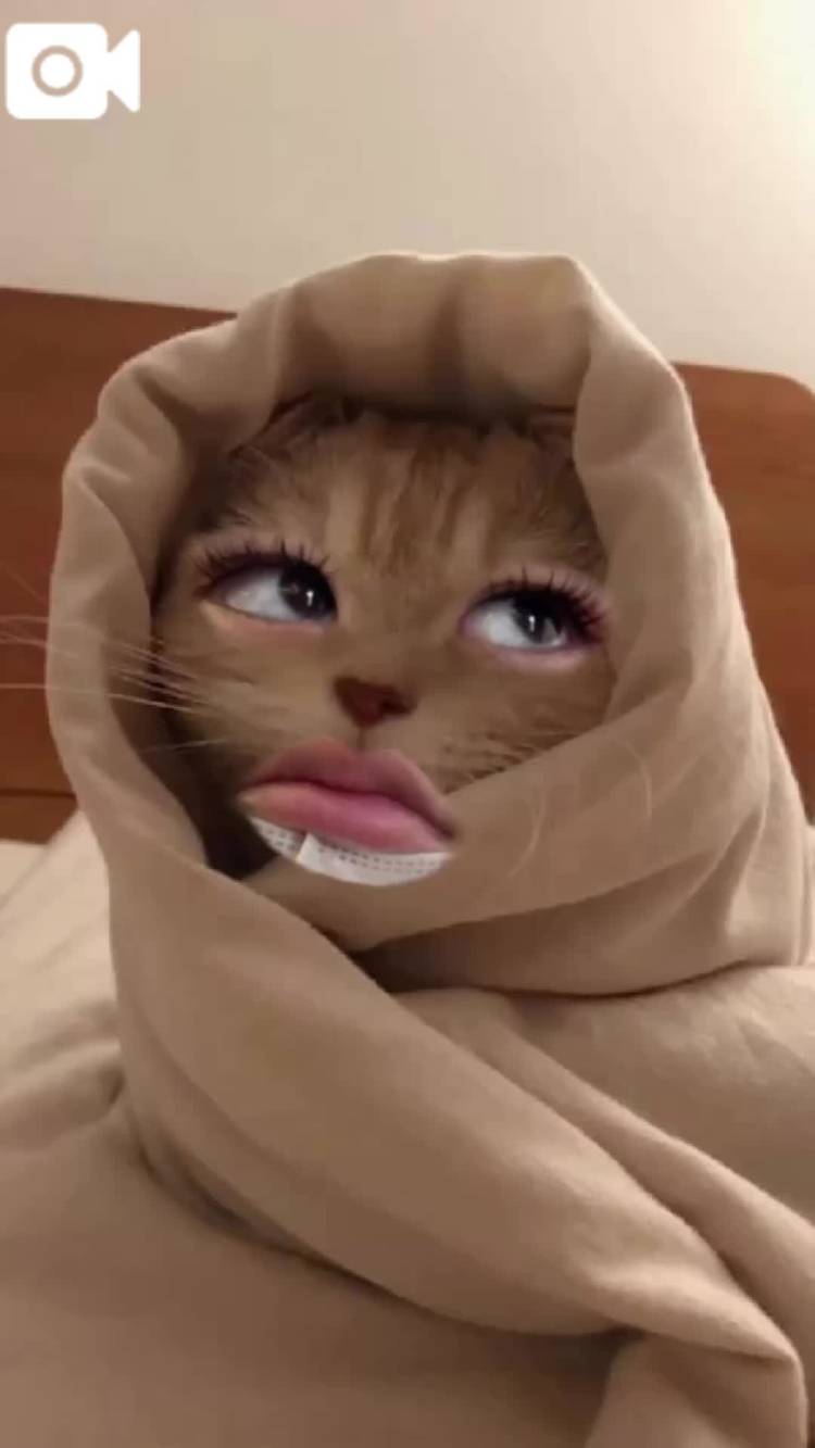 ｶﾞｰｰｰﾝ😅