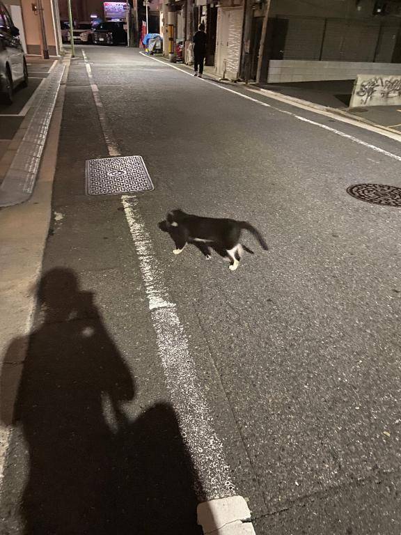わたしなの