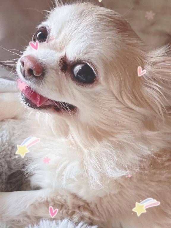 自分の機嫌は自分でとる🙌充実した